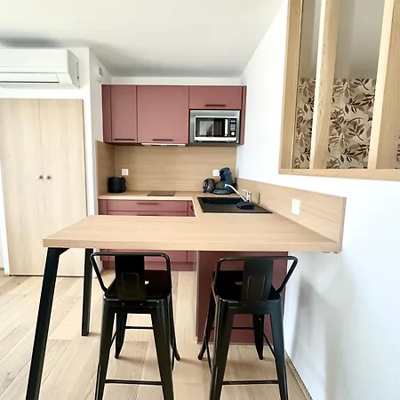 L'ile Mystique - - Parking Prive - Neuf - Clim Apartment Mont-de-Marsan